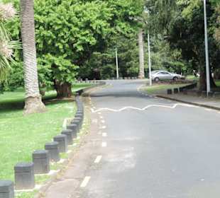 Mit dem Hop on Hop off Bus in Auckland unterwegs