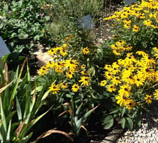 Klosterkirche Maria Gnadenzell
