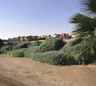 Rundfahrt El Gouna