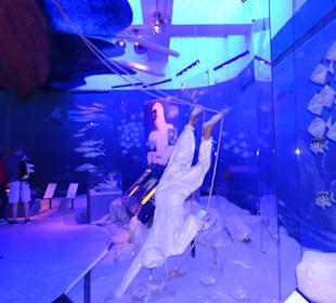 Stadtrundfahrt Dubai