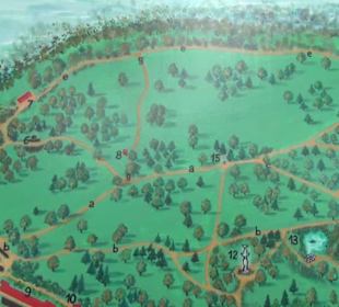 Fähre zur Pfaueninsel