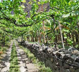 Impressionen von der Fajã dos Padres