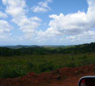 Natur pur