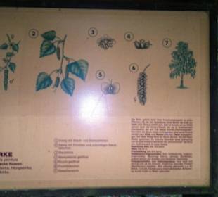 Tafeln im Wald Beschreibung