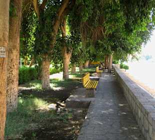 Rundgang über Geziret El-Nabatat