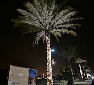 Port Ghalib