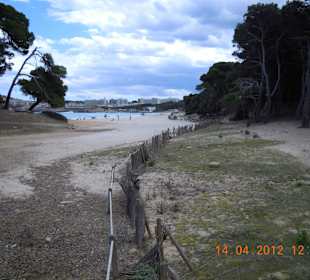 Von den Dünen zum Strand