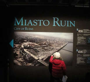 Afisz filmu Miasto Ruin