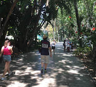 Paseo del Parque
