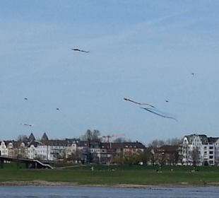 Gegenüber flogen die Drachen