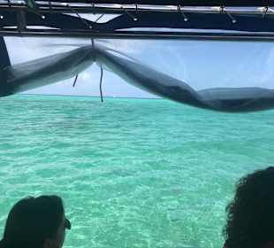 Schnorcheln Bayahibe