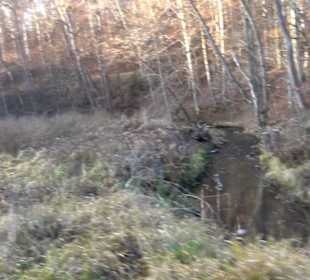 Schönbuch Schaichtal