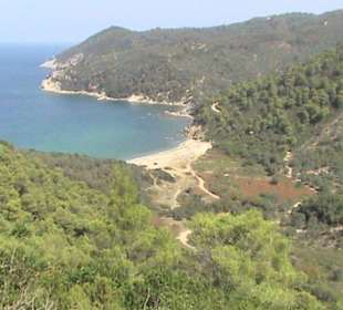 Strand von Mikro Aselinos