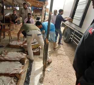 Stadtrundfahrt, Fischmarkt, frische Belieferung