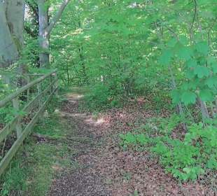 Rundwanderweg - Ottos Ruh