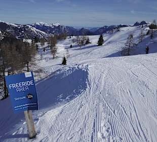 Skigebiet Loferer Almenwelt