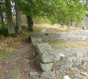 Ruine St. Michael auf dem Kleinen Gleichberg