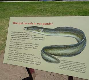 Stadtrundgang Sydney