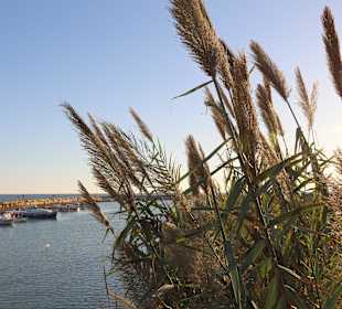The Port of Evrenseki