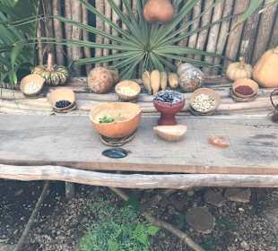 Riviera Maya Privat Touren