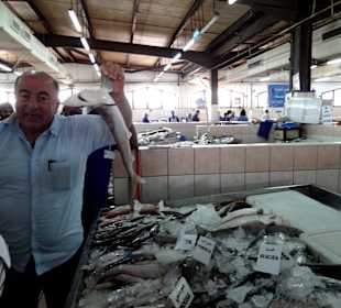 Mit Elias auf dem Fischmarkt Abu Dhabi
