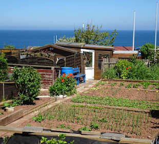 Die Schrebergärten mit dem Meer im Hintergrund