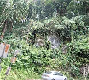 Über 600 enge Kurven 