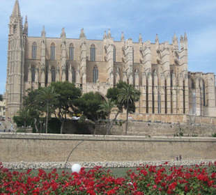 Кафедральный собор пальмы