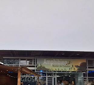 Geoskop in Thallichtenberg