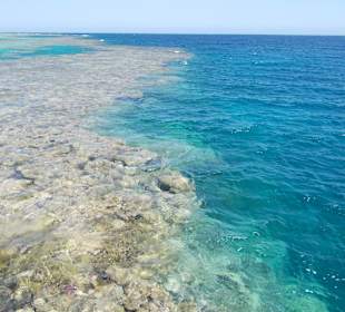 Riff. Der Blick vom Steg aus, aufs Außenriff