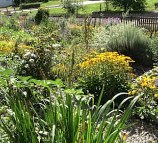 Klosterkirche Maria Gnadenzell