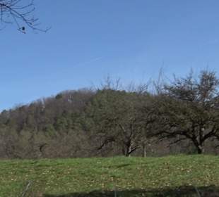 Hirschauer Spitzbergwegle (Premiumspazierwanderweg