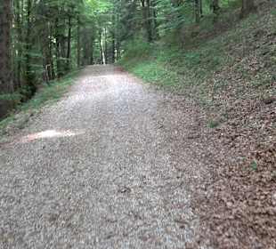 Waldlehrpfad in Tieringen