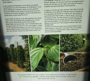 Spicy's Gewürzmuseum