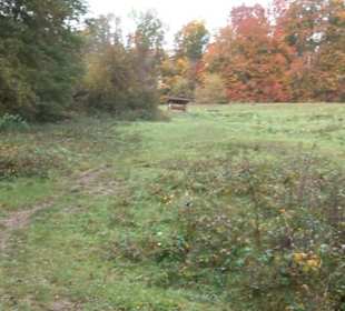 Schaukel auf den Knaupwiesen