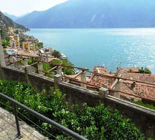Blick vom Gewächshaus auf Altstadt und See