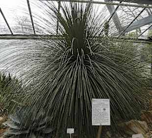 Anlage Planten un Blomen