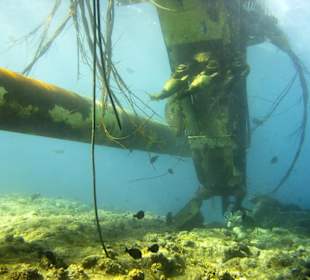 Unter Wasser am Wrack der Lovilla