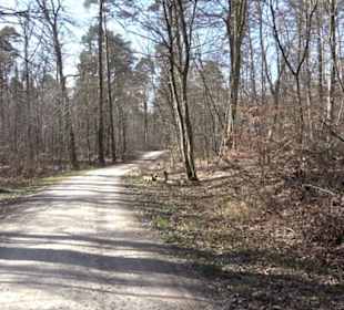 Historischer Rundwanderweg Aichtal