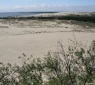 Düne