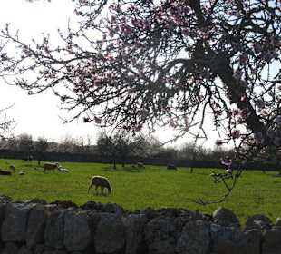 Landschaft in Februar