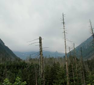 Wanderweg- Meeresauge Zakopane. 