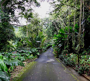 Zugangsweg zum Garten