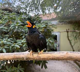 Irrland Bauernhof-Erlebnisoase