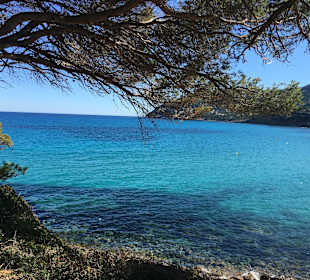 Strand Canyamel