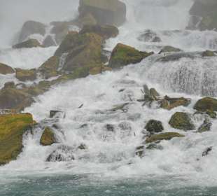 Mit der "Maid of the Mist" in die Niagara Fälle