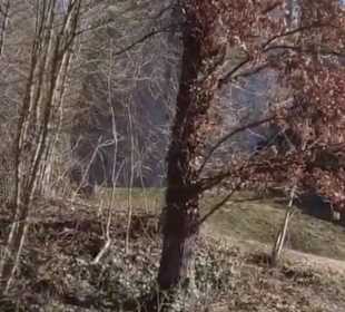 Burgruine Wehrstein Fischingen