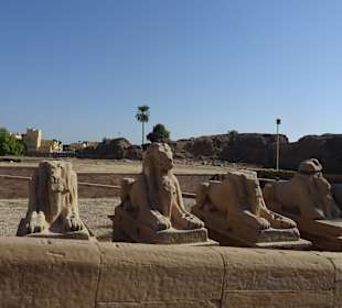 Tagesausflug nach Luxor ab Makadi Bay