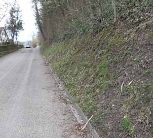 Unterjesinger Wengertwegle