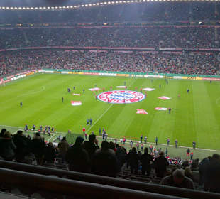 Allianz-Arena